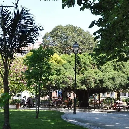 Apartamento Mc Warm Romantic 3br2ba @ Trendy Principe Real